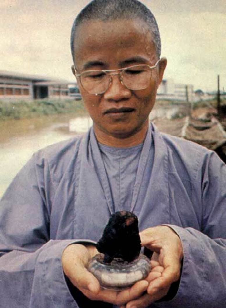 traitimbotatthichquangduc_traitimkhongchay.jpg